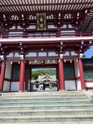 line_oa_chat_250801_140030