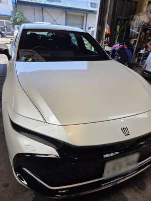 line_oa_chat_251029_190348 ぼかし