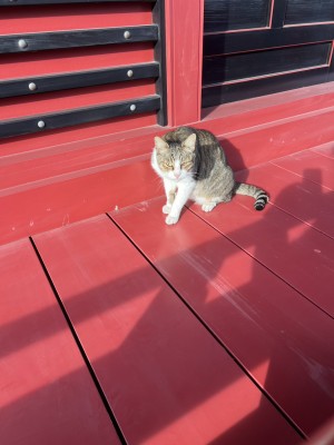 line_oa_chat_251203_122355